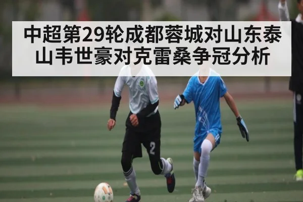 中超第29轮成都蓉城对山东泰山韦世豪对克雷桑争冠分析